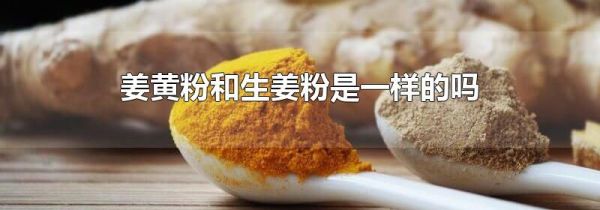 姜黄粉和生姜粉是一样的吗