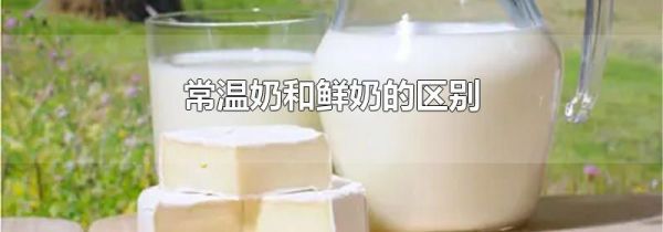 常温奶和鲜奶的区别