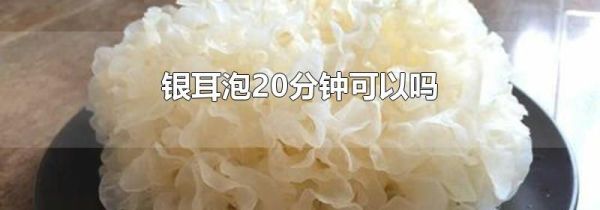 银耳泡20分钟可以吗