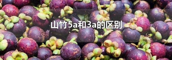 山竹5a和3a的区别