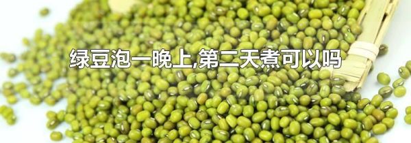 绿豆泡一晚上,第二天煮可以吗