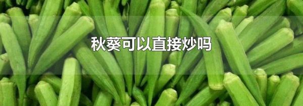 秋葵可以直接炒吗
