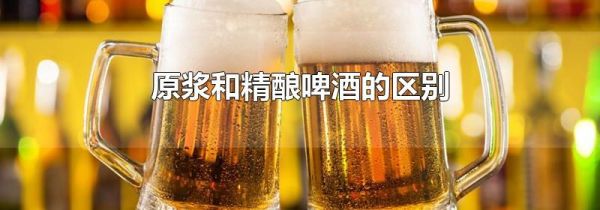 原浆和精酿啤酒的区别