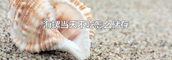 海螺当天不吃怎么储存