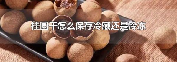 桂圆干怎么保存冷藏还是冷冻