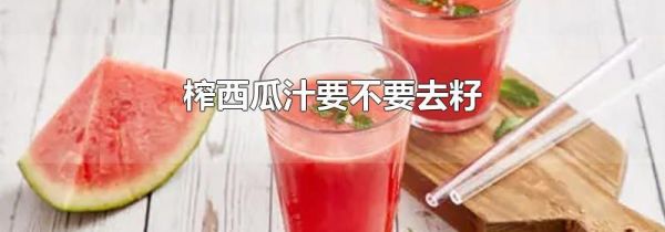 榨西瓜汁要不要去籽