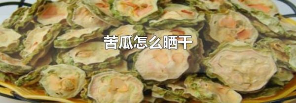 苦瓜怎么晒干