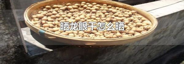 晒龙眼干怎么晒