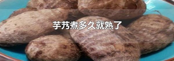 芋艿煮多久就熟了