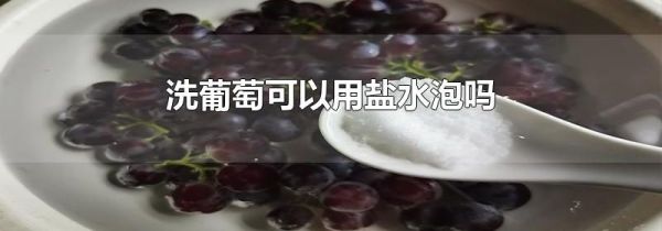 洗葡萄可以用盐水泡吗