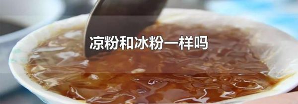 凉粉和冰粉一样吗