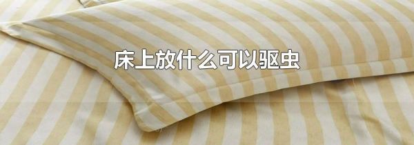 床上放什么可以驱虫