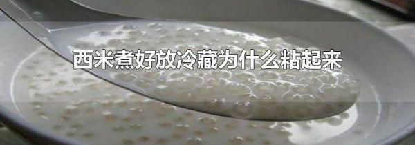 西米煮好放冷藏为什么粘起来