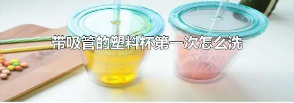 带吸管的塑料杯第一次怎么洗