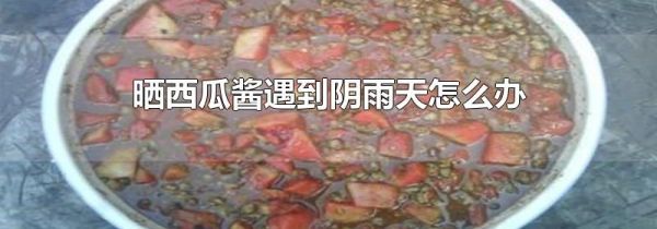 晒西瓜酱遇到阴雨天怎么办