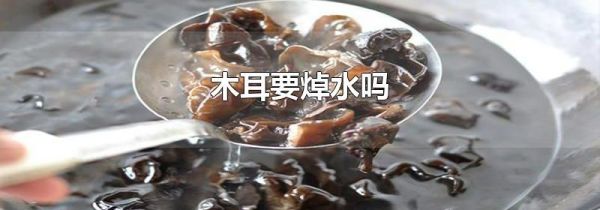 木耳要焯水吗