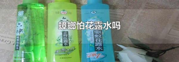 蟑螂怕花露水吗