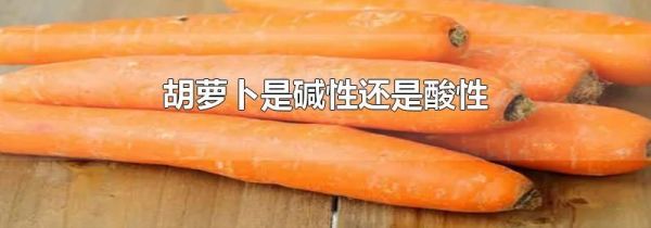胡萝卜是碱性还是酸性
