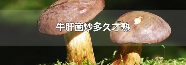 牛肝菌炒多久才熟
