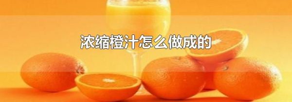 浓缩橙汁怎么做成的