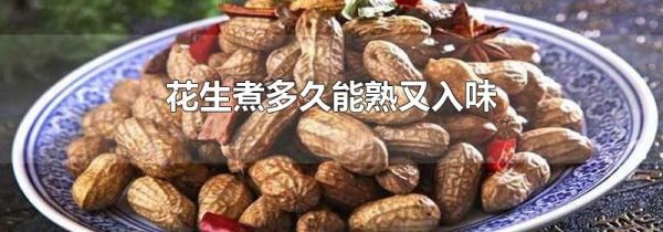 花生煮多久能熟又入味