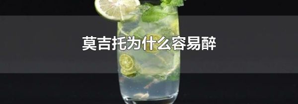 莫吉托为什么容易醉
