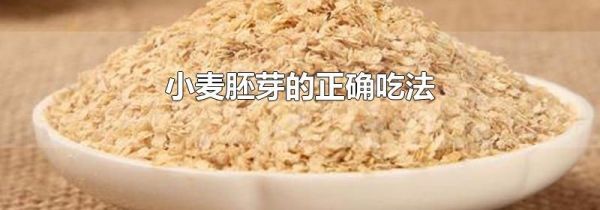 小麦胚芽的正确吃法