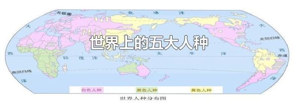 世界上的五大人种