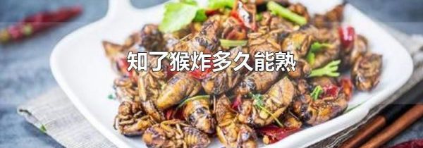 知了猴炸多久能熟