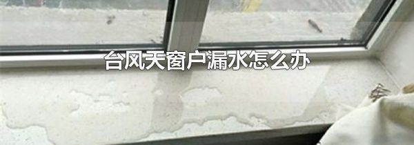 台风天窗户漏水怎么办