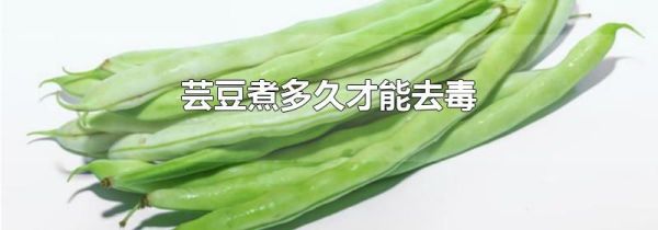 芸豆煮多久才能去毒