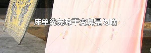床单洗完晾干变臭是为啥