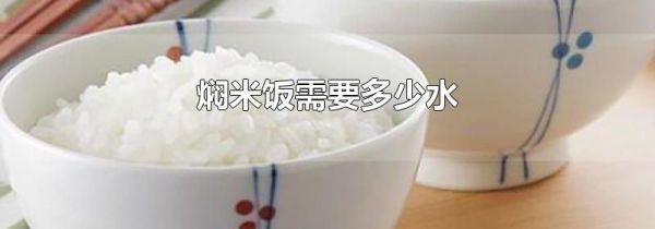 焖米饭需要多少水