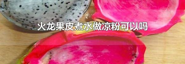 火龙果皮煮水做凉粉可以吗
