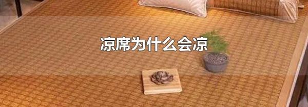 凉席为什么会凉