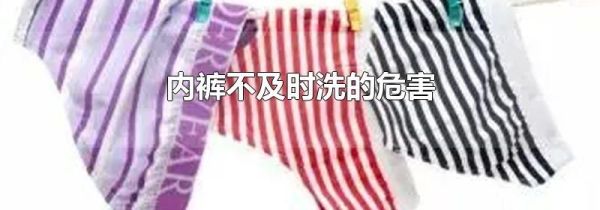 内裤不及时洗的危害