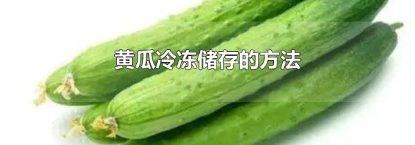 黄瓜冷冻储存的方法