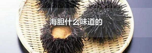 海胆什么味道的