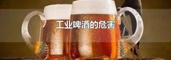 工业啤酒的危害