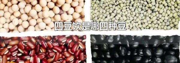 四豆饮是哪四种豆