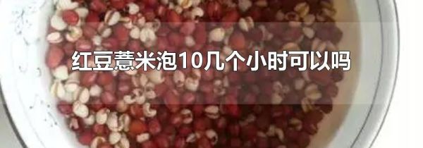 红豆薏米泡10几个小时可以吗