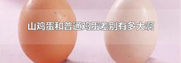山鸡蛋和普通鸡蛋差别有多大啊
