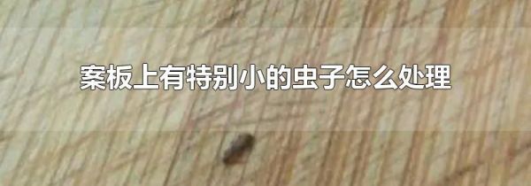 案板上有特别小的虫子怎么处理