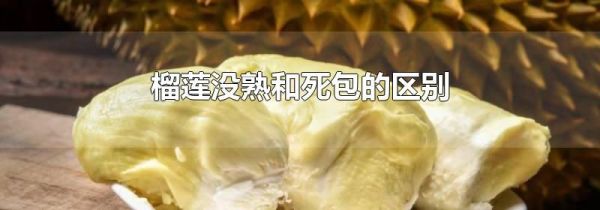 榴莲没熟和死包的区别