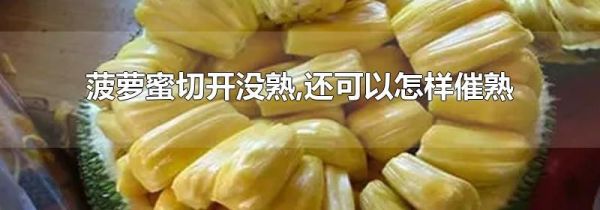 菠萝蜜切开没熟,还可以怎样催熟