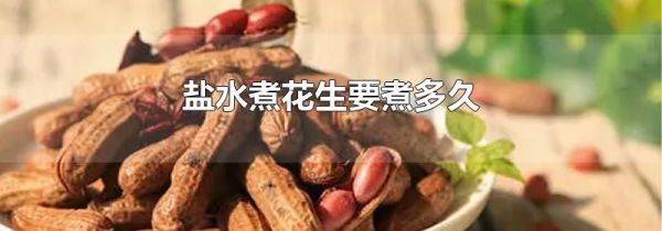 盐水煮花生要煮多久
