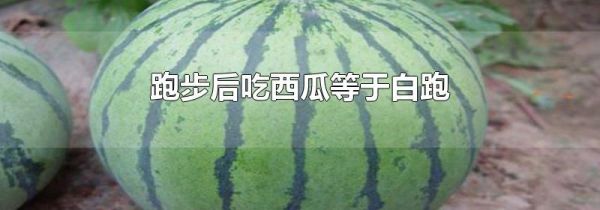 跑步后吃西瓜等于白跑