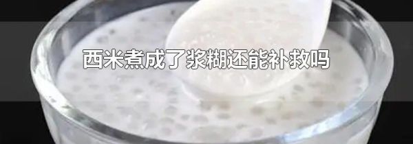 西米煮成了浆糊还能补救吗