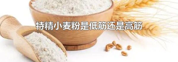 特精小麦粉是低筋还是高筋
