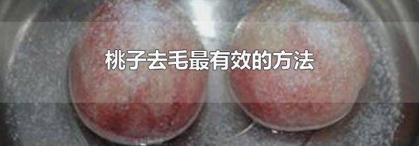 桃子去毛最有效的方法